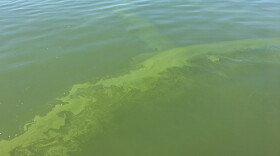 Western Lake Erie in September 2017