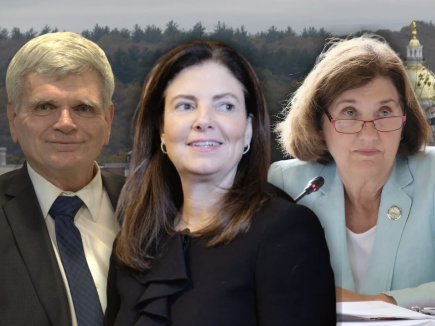 Incumbent Republican Gov. Kelly Ayotte (center) is facing a reelection challenge from Libertarian Stephen Villee (left) and Democrat Cinde Warmington (right).