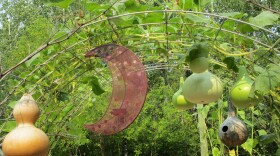 Terry Leinbach's Gourd Arch
