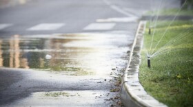 Sprinklers water a lawn and the street.