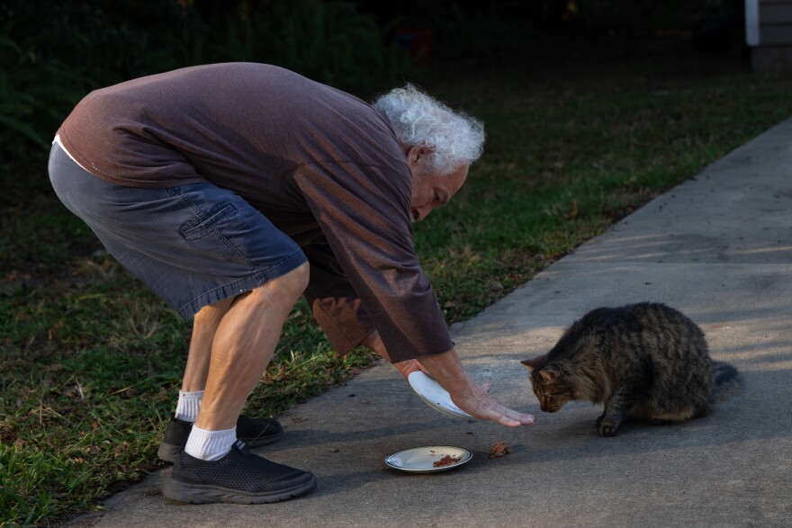 Disgdiertt said he goes through about 25 cans of cat food to feed more than 30 every day. He lives off of Social Security and accepts donations of cat supplies from family and neighbors. (Kimberly Blum/WUFT News)