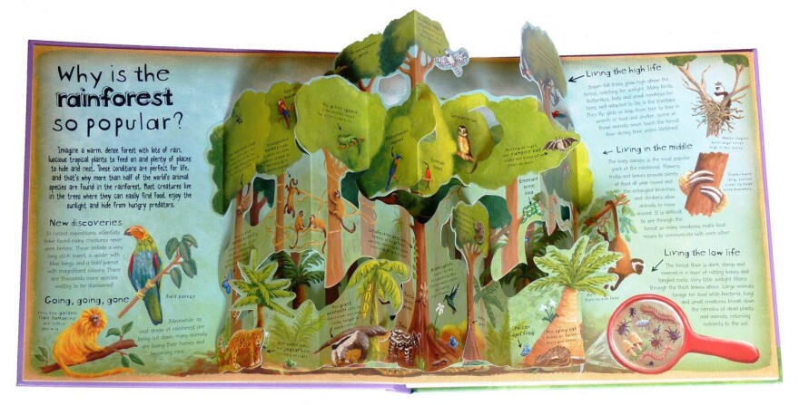 Pop-Up Books Make Environmental Science Easy-Peasy For Kids | WUWM