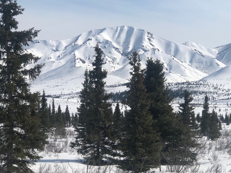 The unnamed peak where Eric Walter was killed in an avalanche. The slide path is visible on the fluted section of the mountain.