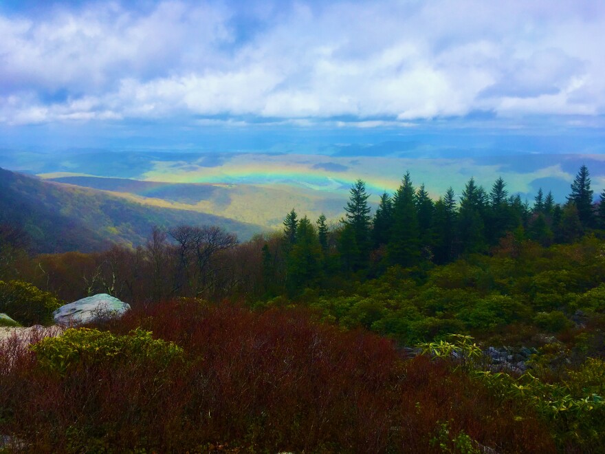 dolly sods madams