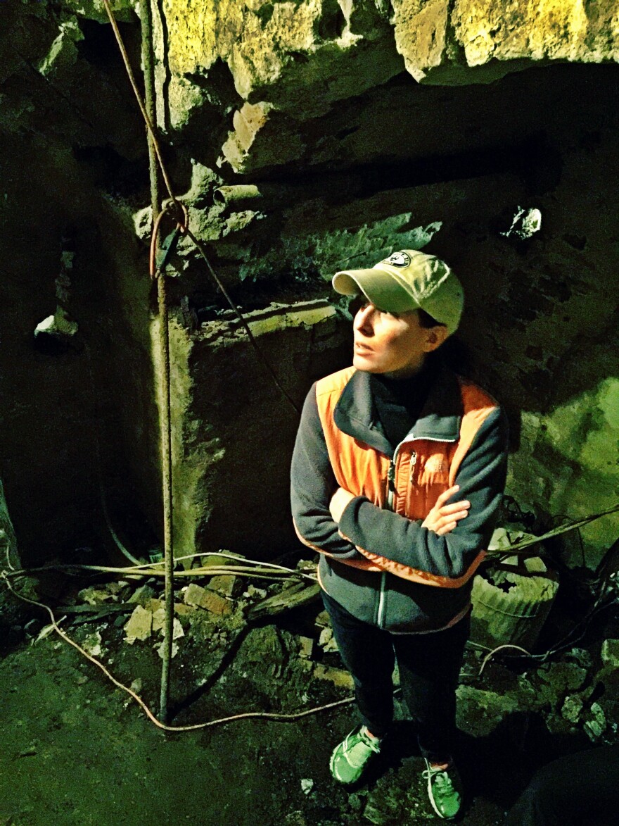 A beer cave in Iowa City