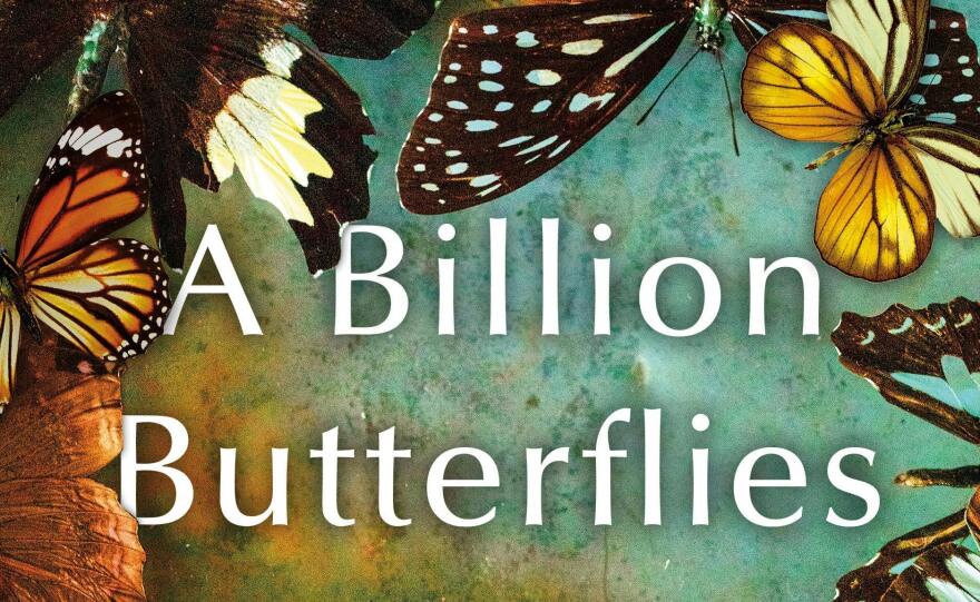 A photo with text saying "A Billion Butterflies"