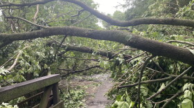 Debris from fallen trees and limbs are stretched across a paved walkway with a pedestrian bridge in the foreground.