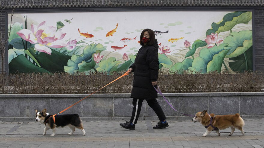 Ng Han Guan/AP