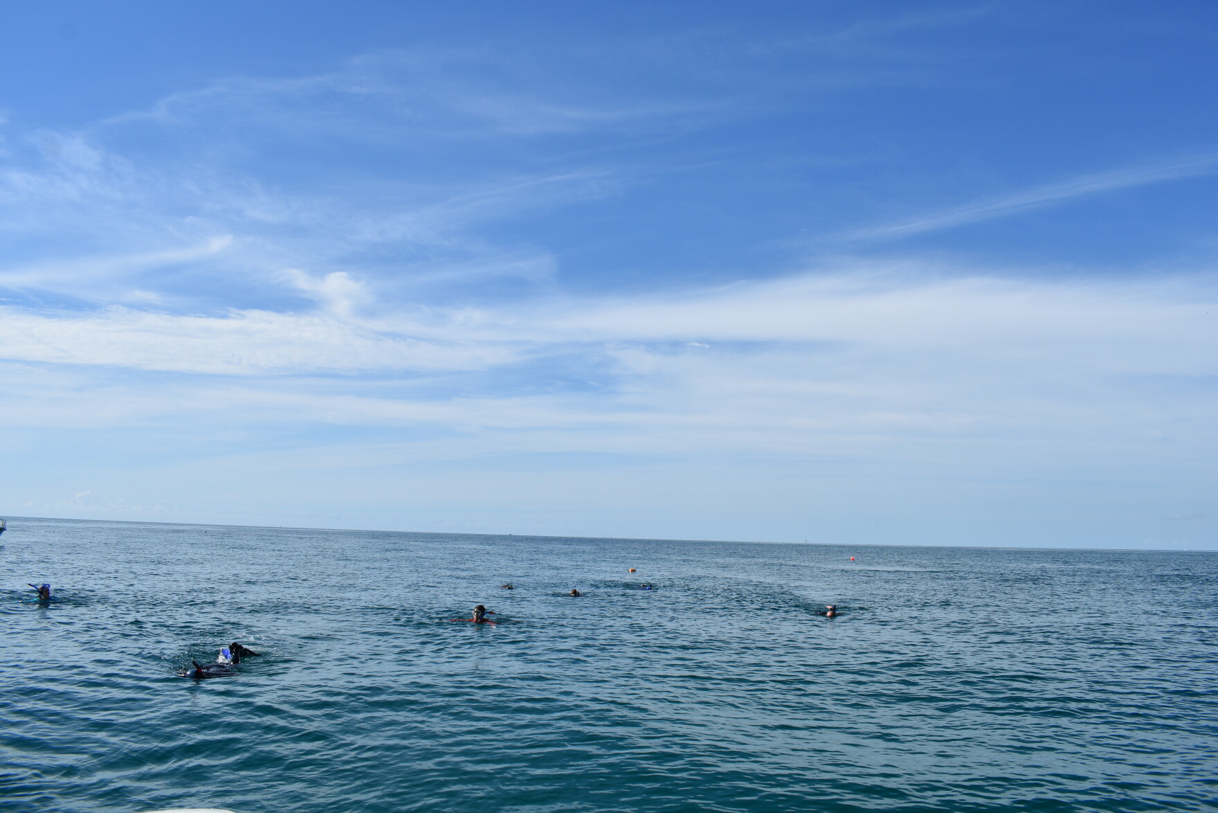 'Coral Whisperers' Look For Genetic Clues In Their Quest To Save Reefs ...