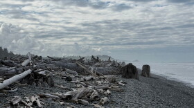 Driftwood sits on a beach beach near Queets on Washington's Olympic Peninsula, Sept. 7, 2026. (AP Photo/Annika Hammerschlag)