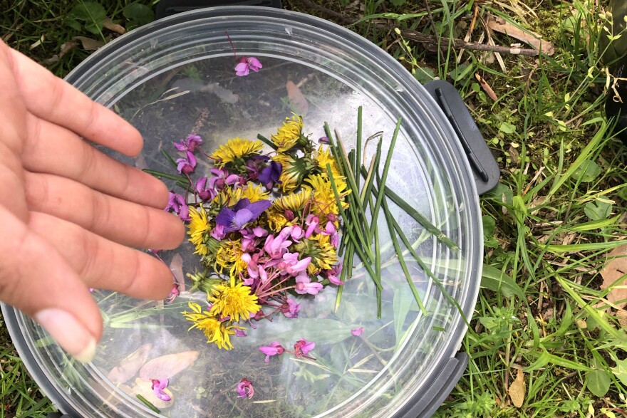 yellow, purple, pink flowers on a clear plastic lid, with a hand dropping the flowers
