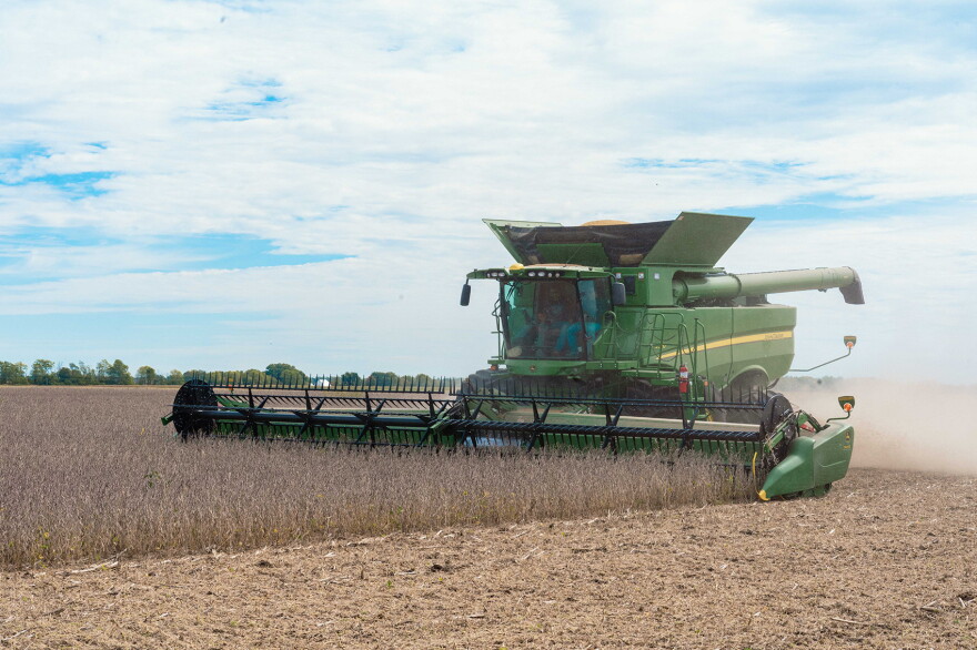 A green combine harvests dried soybeans in an open field under a blue sky with clouds