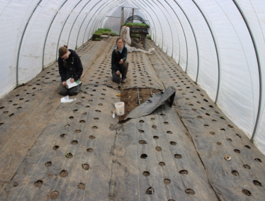 Fairbanks Agricultural and Forestry Experiment Station soil scientist Caley Gasch a UAF research assistant professor of Soil Science, will give presentations at both the Fairbanks and Palmer Field Days.