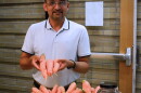 Resham Thapa, an associate research professional in the Center for Carbon Capture and Conversion at the University of Wyoming School of Energy Resources, holds up some of the carrots grown with coal char in the soil.
