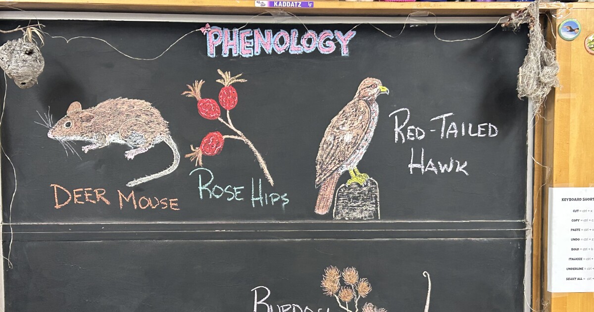 Students seek color in drab November surroundings