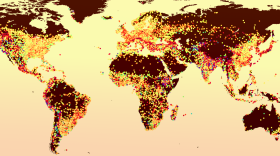 Researchers used summer temperature data from thousands of cities across the globe to create a model that measures urban heat island effects. 