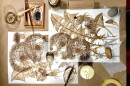 A desktop covered with artist materials.