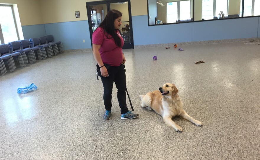 4 Paws for Ability