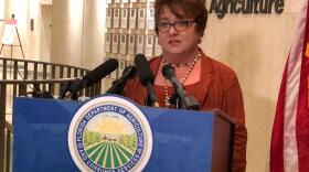 Holly Bell, Florida's first cannabis czar.