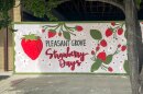 Downtown Pleasant Grove, Utah, prepares for 2023 Strawberry Days, June 8, 2023.