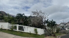 Trees along a Waiʻanae street uprooted and fell onto the neighboring houses during Hurricane Lala on Aug. 16.