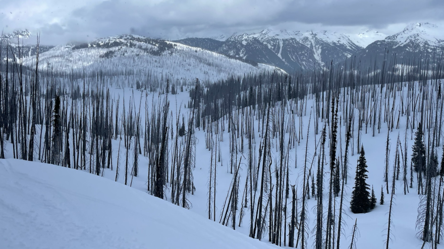 A large burn scar in the Northern Rocky Mountains. Post-fire changes to the snowpack vary significantly across the West’s diverse landscapes.