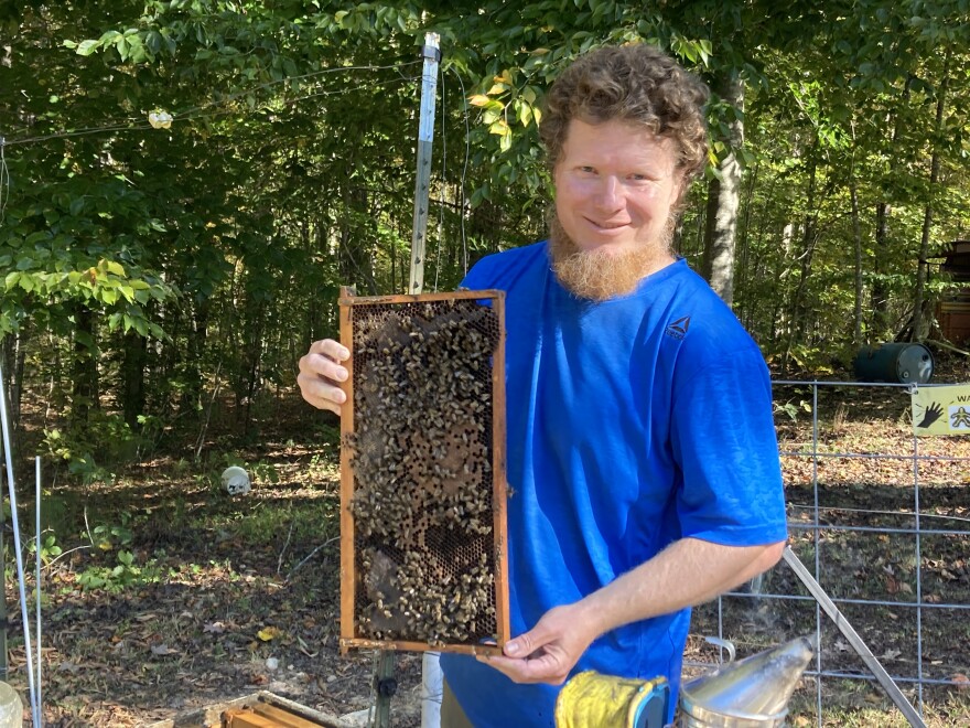 Sourwood Farm beekeeper Ryan Williamson says his bees are making honey from what spotted lanternflies produce
