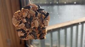 Growing Connections offers activities that cover all aspects of gardening, from planting to creating feeders to invite birds to their spaces.