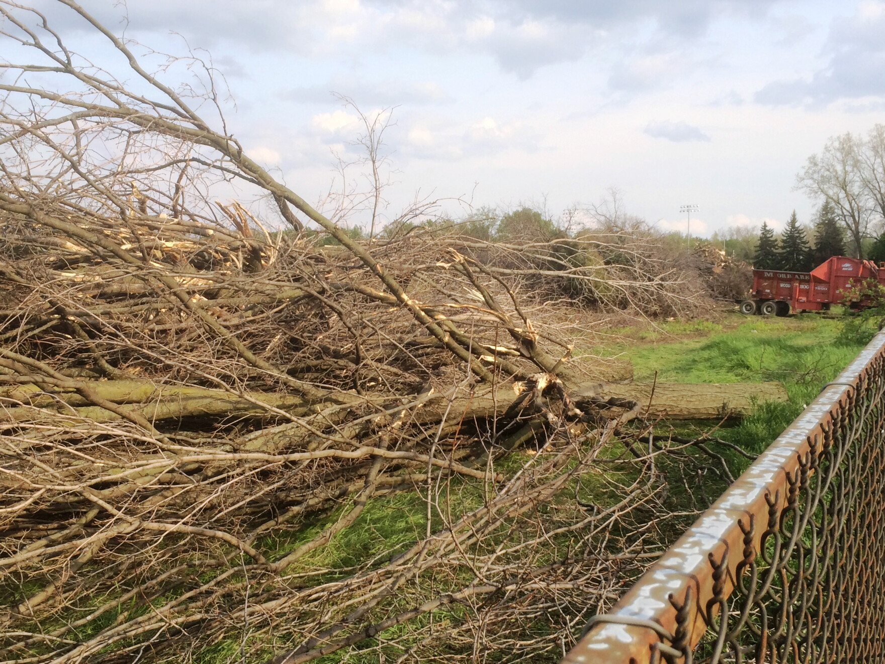 Ingham official explains tree felling at Red Cedar Renaissance site ...
