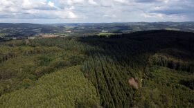 This aerial view shows a parcel of land.