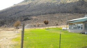 This small house with a family with five kids was saved by defensible space at the Chelan Butte Fire in 2011. The property had green grass all the way around. The owner is a former Forest Service employee who knows what it means to live in fire country.