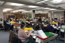Election workers process ballots in the Lane County Elections office in Eugene on Nov. 8, 2022.