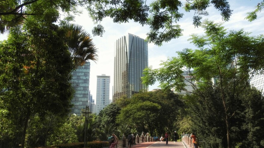 With reforestation programs, individual citizens make our planet greener—one tree at a time.