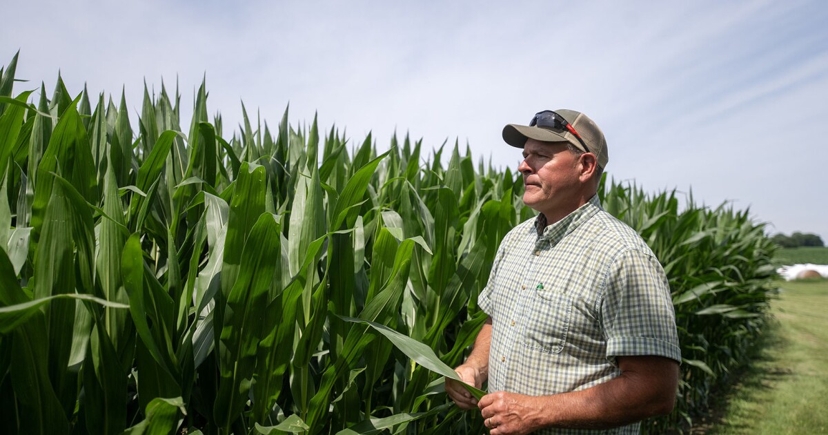 Farmers are struggling to turn a profit. How does it compare to the farm crisis in the '80s?