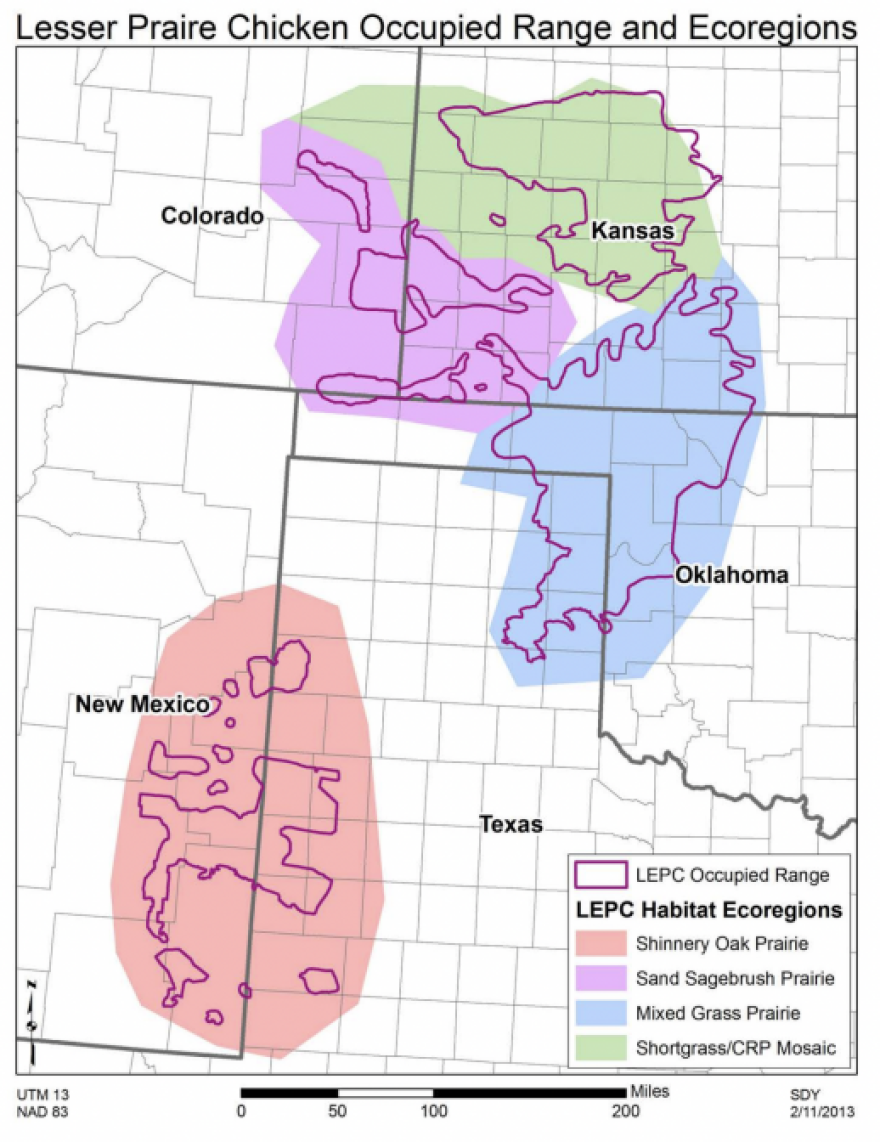 The habitat range of the Lesser Prairie-Chicken.