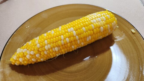 Sweet corn on a plate