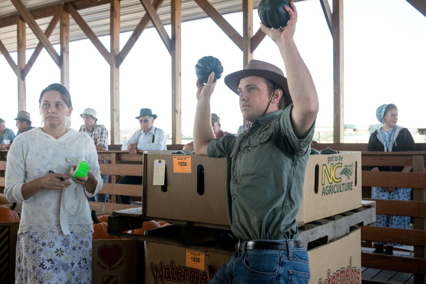 Gourds, squash and pumpkins galore are for sale at the Shenandoah Valley Auction in rural Virginia.
