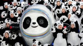 Xinyu Cui/Getty Images