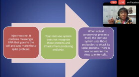 Slide show describes vaccination process.