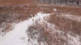 Aullwood's Winter Speaker Series continues this weekend.