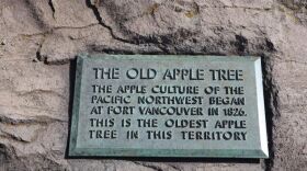 The long-standing plaque at the foot of the Old Apple Tree testifies to how the community recognized the significance of the tree early on.