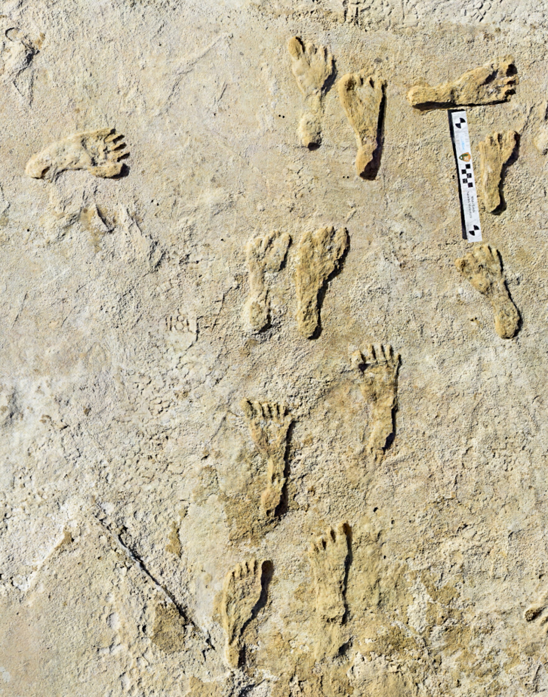 Earliest North Americans Lived Through Abrupt Climate Shifts In New earliest-north-americans-lived-through-abrupt-climate-shifts-in-new