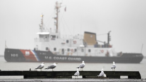 Seagulls stand in the rain and fog with a U.S. Coast Guard cutter on Lake Erie in the background.