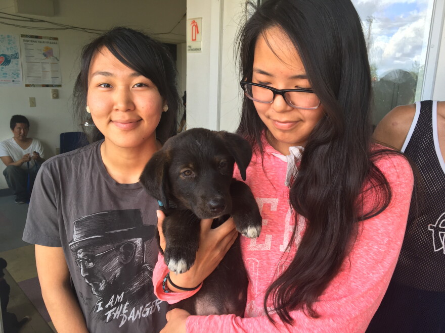 Two girls in Kwethluk wait with a puppy at the local fire station, where three vets from the non-profit Alaskia Native Rural Veterinary were working for the day.