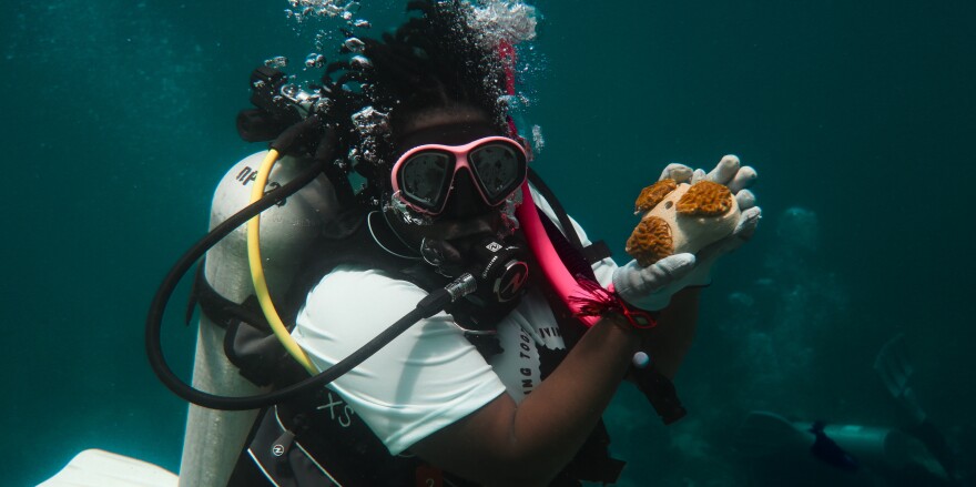 Black in Marine Science member holds a coral during the restoration dive
