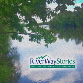 riverway.jpg