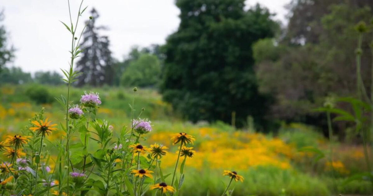 Blandford Nature Center offers free admission throughout September