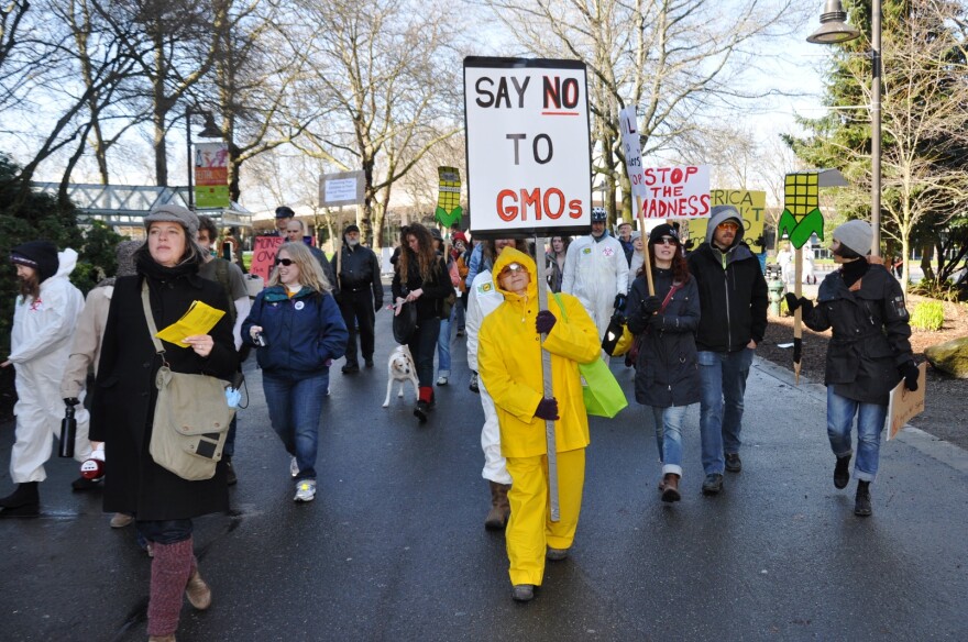 Anti-GMO protest at the Gates Foundation in Seattle.