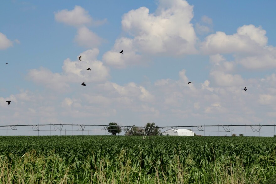 A view of western Kansas.