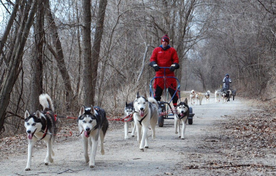 Richie Camden and Dominic Rekart take the Breakaway Siberians dog sled team  out for a practice run on the Katy Trail near Weldon Spring, Mo., in January 2017.